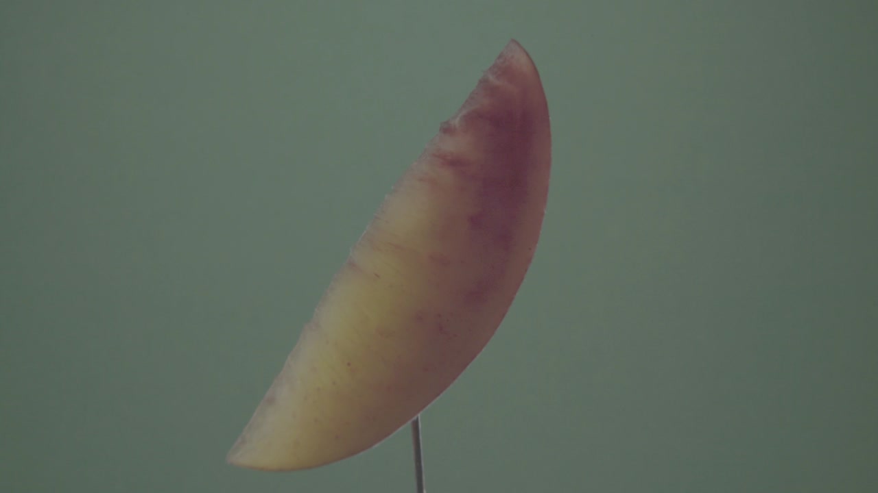 크로마 키를 위해 녹색 화면에 루프와 함께 회전하는 복아