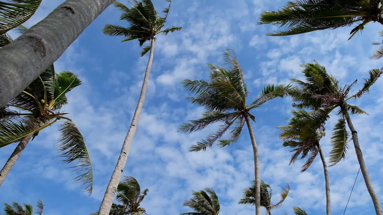 Look Up Shot Of Paliton Beach, Siquijor, Philippines