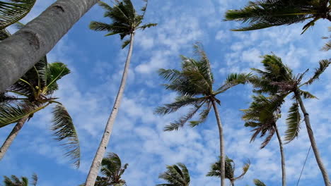 Look-Up-Shot-Of-Paliton-Beach,-Siquijor,-Philippines