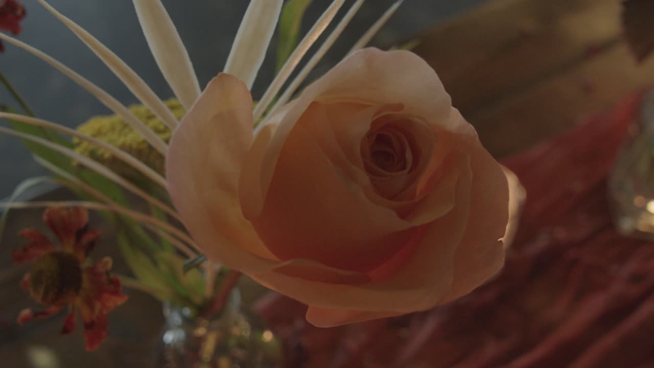 un disparo en órbita de una flor de naranja