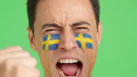 close up of a man supporting swedish team