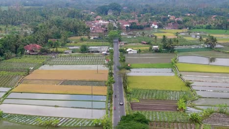 road passes through rice fields with mungkid village in background, central java in indonesia