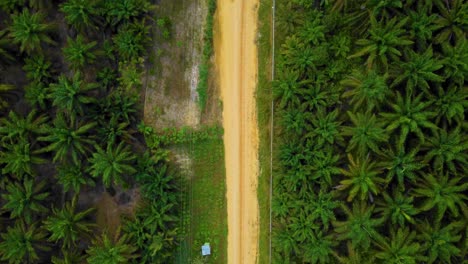 Cinematic-Drone-Footage-of-Onshore-Drilling-Rig-equipment-structure-for-oil-exploration-and-exploitation-in-the-middle-of-jungle-surrounded-by-palm-oil-trees-during-sunset-and-high-oil-price