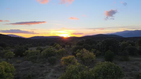 Drohnenflug-Im-Aufstieg-Bei-Sonnenuntergang,-Wobei-Die-Sonne-In-Der-Goldenen-Stunde-Gegen-Das-Licht-Blickt-Und-Gelbe-Obstbäume-Visualisiert,-Vor-Einem-Hintergrund-Aus-Bergen