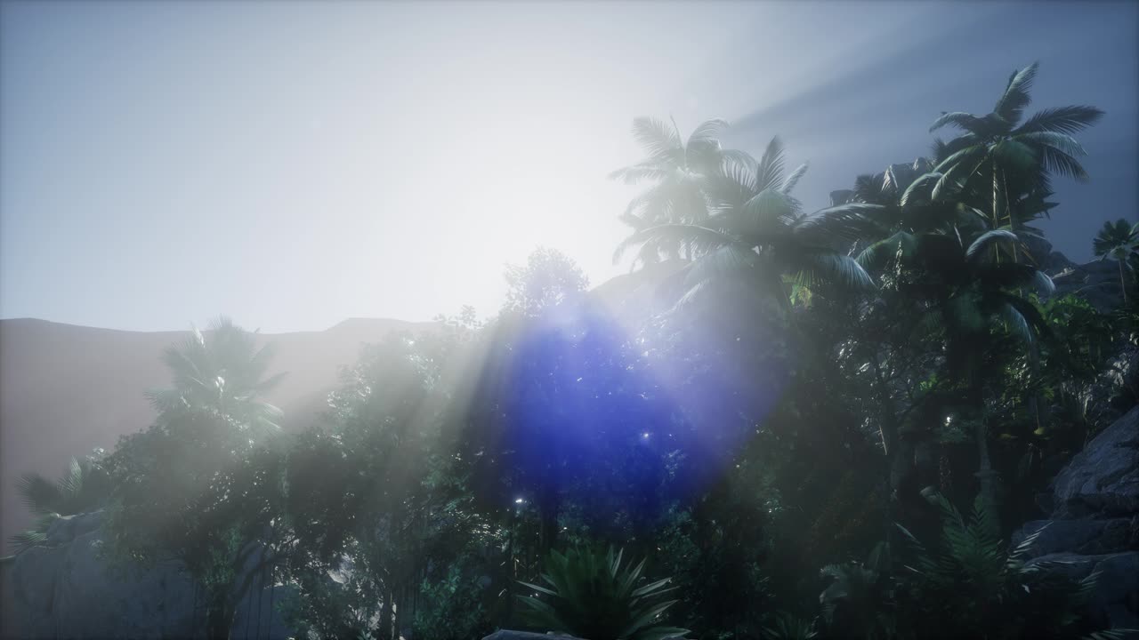 ⁇ 나무 를 가로지르는 해 가 지는 광선