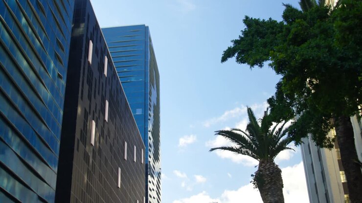 Vista dal basso di un edificio per uffici e un albero 4k