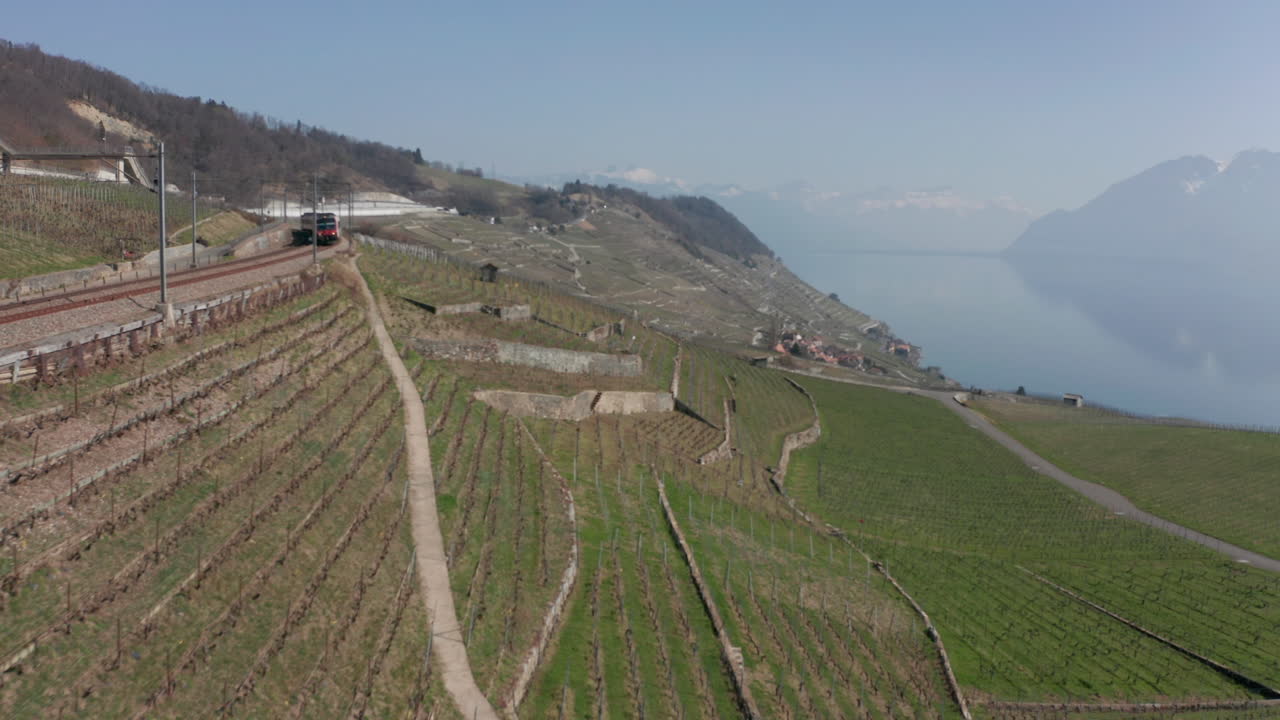 Veduta aerea di ampi e vasti vigneti.