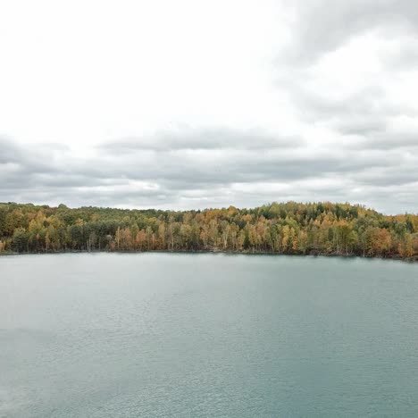lago cerca del bosque