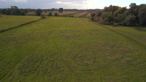 majestosa vista aérea voo viaduto drone filmagem sobrevoo cavalos pasto campo de rebanho de cavalos em brandemburgo havelland alemanha ao pôr do sol de verão 2022