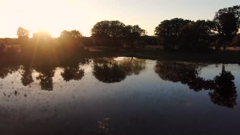 sunset over a calm lake with trees reflecting in the water