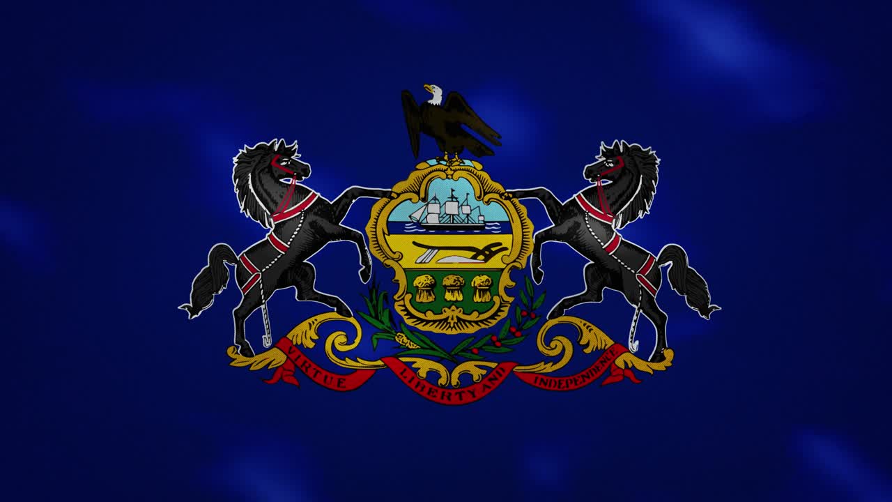 펜실베이니아 밀집된 발 직물 파동, 배경 루프