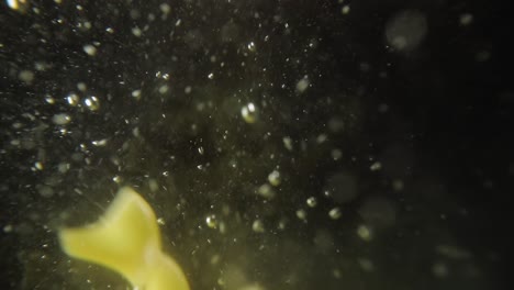 fusilli pasta falling into water.