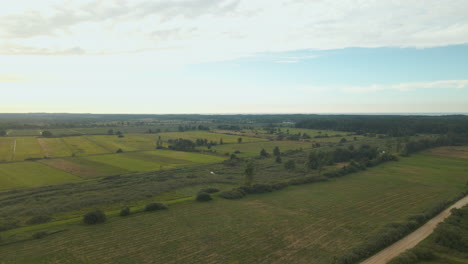 Vuele-Hacia-Las-Pintorescas-Tierras-De-Cultivo-De-Vegetación-Plana-En-El-Campo-En-Debki,-Polonia-Bajo-Un-Cielo-Azul