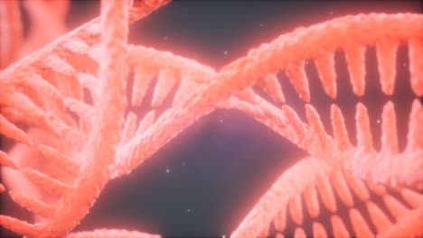 Struktur-Der-DNA-Doppelhelix-Animation