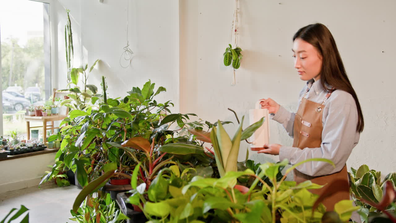 식물 가게 에서 식물 에 물 을 주고 있는 여자
