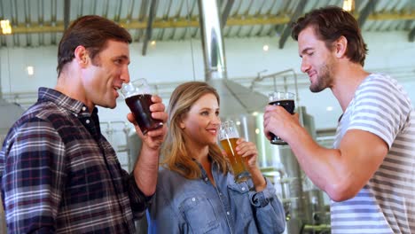 brewers toasting beers at brewery 4k