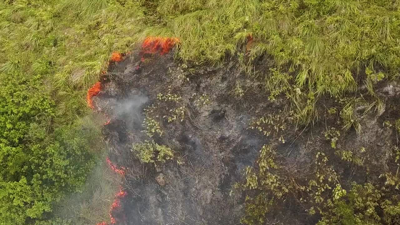 fuego de vegetación en un día de viento. ojo de pájaro aéreo