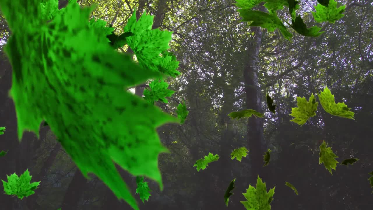 animación de varias hojas que caen sobre el bosque verde