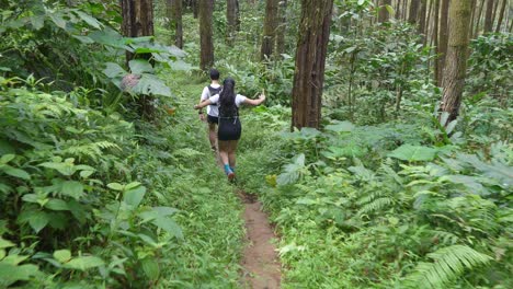 Hikers in a Lush Tropical Forest