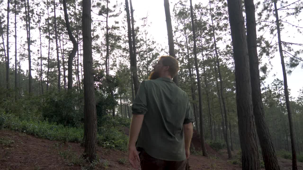 산 위의 소나무 숲을 걸을 때 수염 난 생강 야외 남자를 뒤에서 추적하는 슬로우 모션 샷