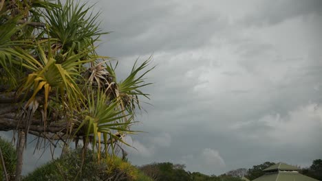 Slow-motion-lightning-strikes-behind-trees