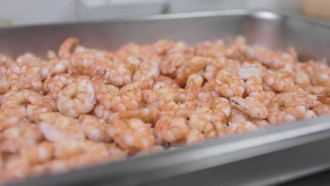 A-pile-of-precooked-boiled-shrimp-in-an-industrial-kitchen-pan