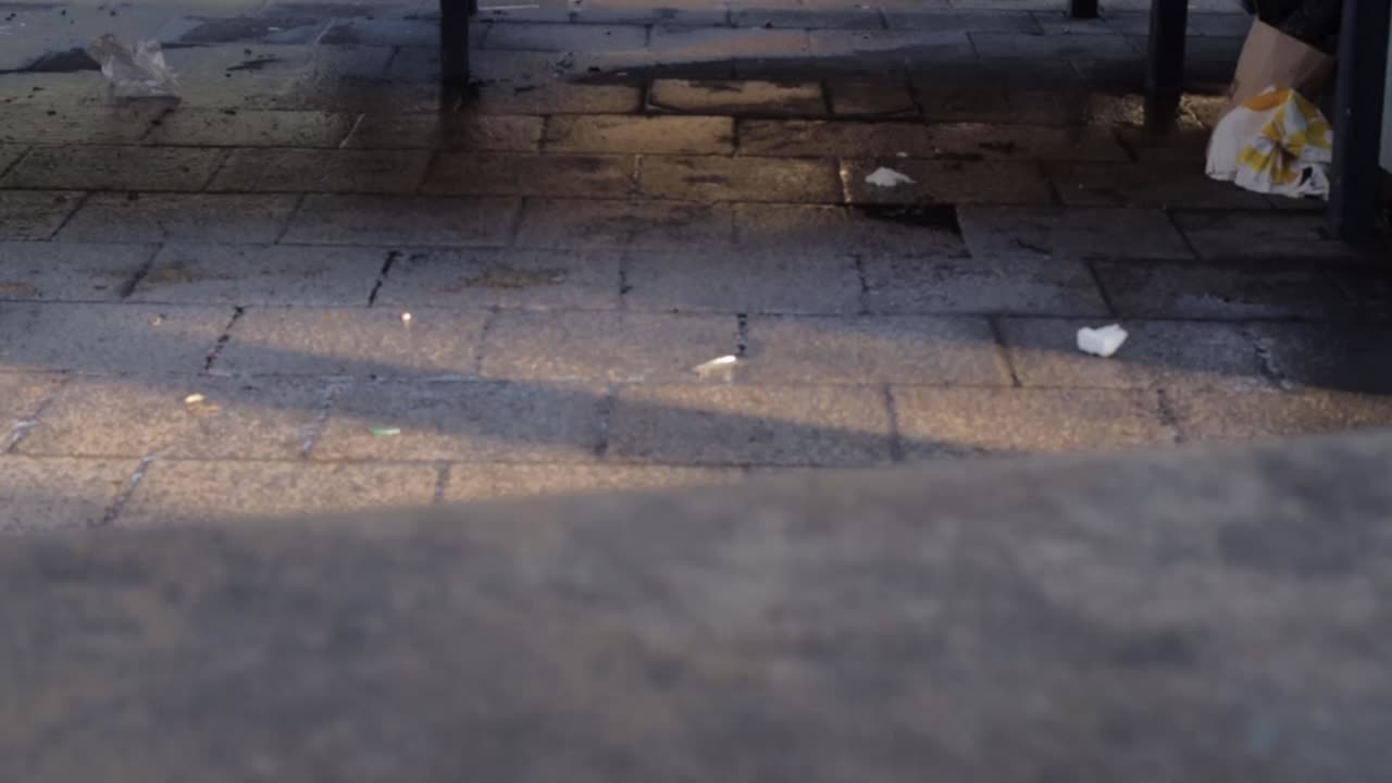 View of rows of empty market stalls with pigeon walking by