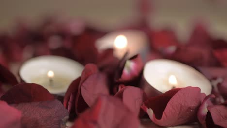 velas de té encendidas con pétalos de rosas rojas cayendo en segundo plano.