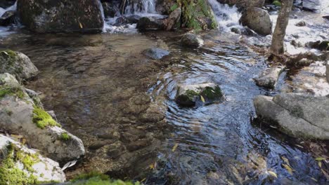 Afluente-Del-Río-Con-Aguas-Poco-Profundas-Chapoteando-A-Lo-Largo-Del-Arroyo-Donde-Hay-Algunas-Rocas-Creando-Una-Pequeña-Cascada.