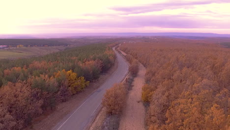 Vista-Aérea-De-La-Carretera-Rural-Durante-El-Otoño-Con-Hermosos-Colores-De-árboles-Y-Un-Día-Soleado