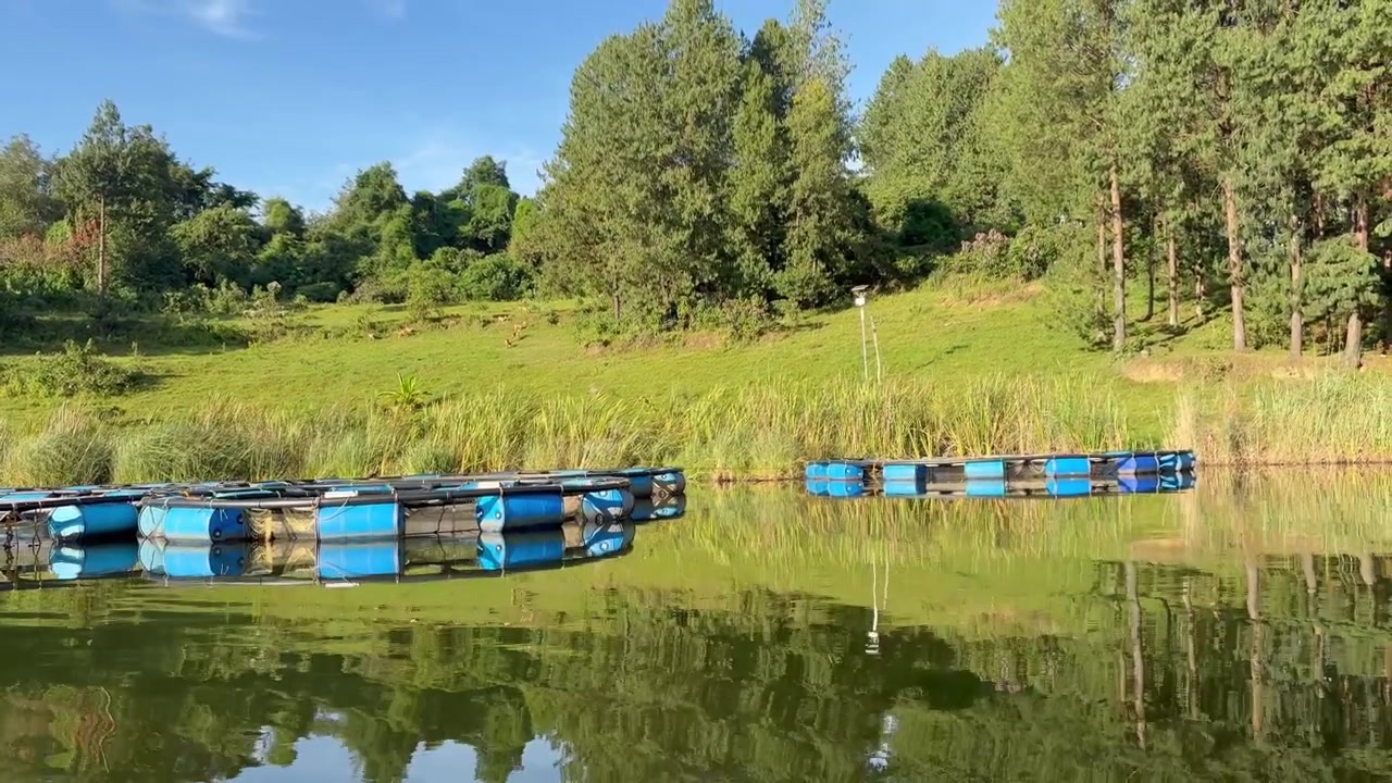 Rybníky rybí farmy na jezeře Bunyonyi, Uganda. Pohled z lodi.