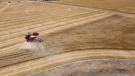 Aerial-drone-landscape-view-of-wheat-farm-combine-harvester-tractor-cutting-crops-machine-tourism-Adelaide-Port-August-South-Australia-4K