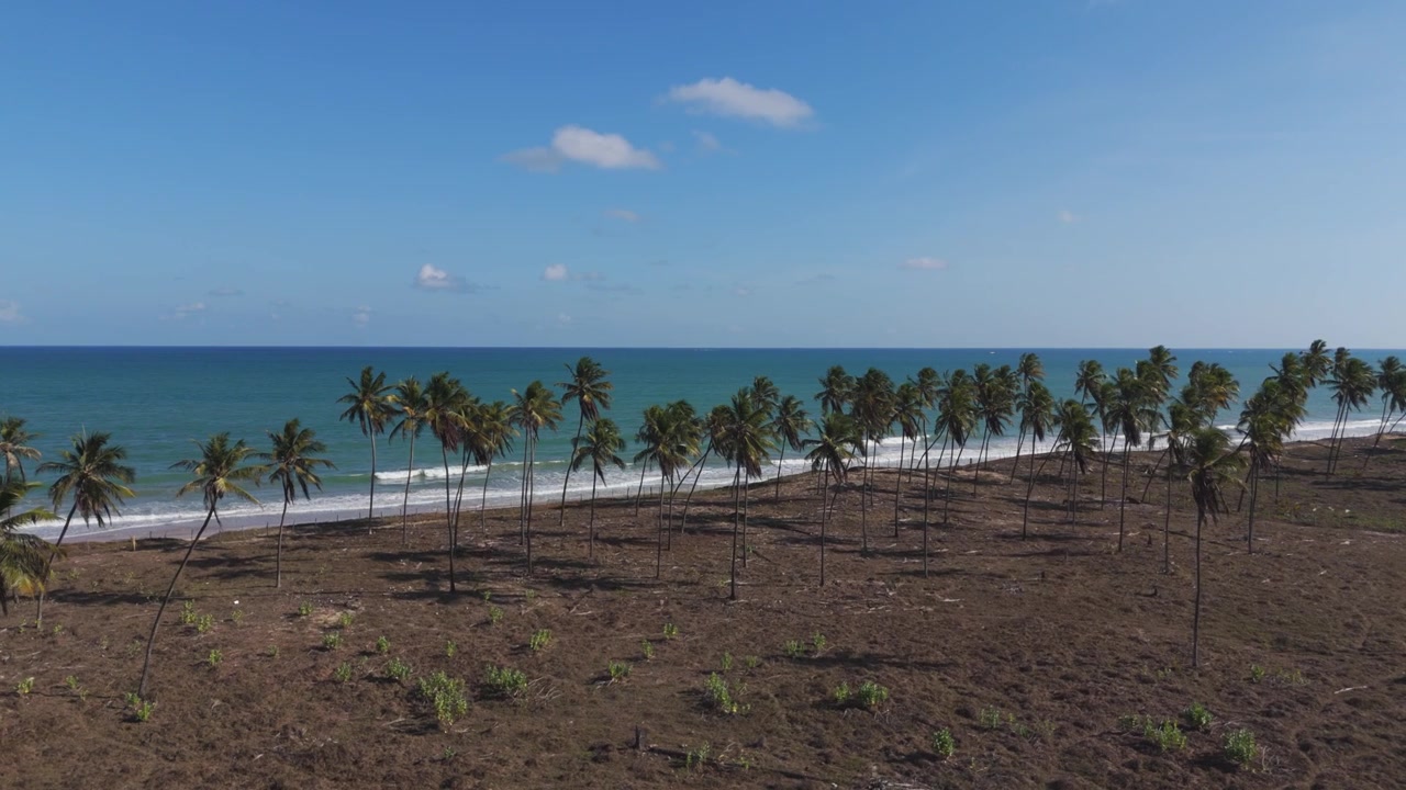 Primer plano aéreo de olas oceánicas en capas rompiendo en una costa tropical arenosa.