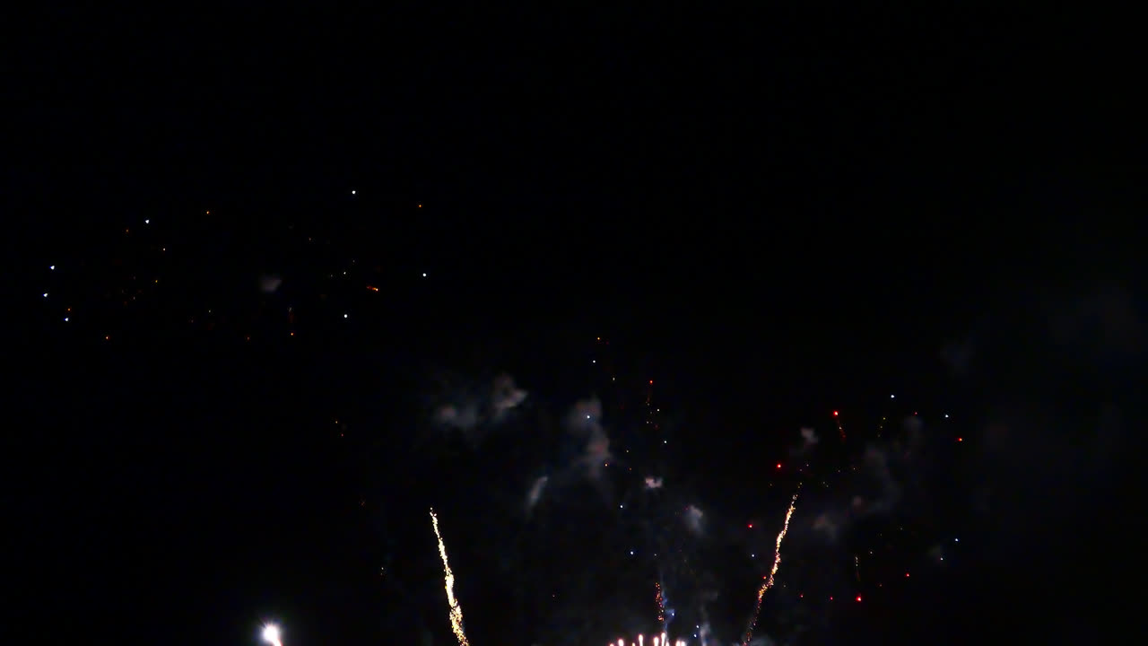 hermosa celebración abstracto colorido espectáculo de fuegos artificiales en el fondo de la noche