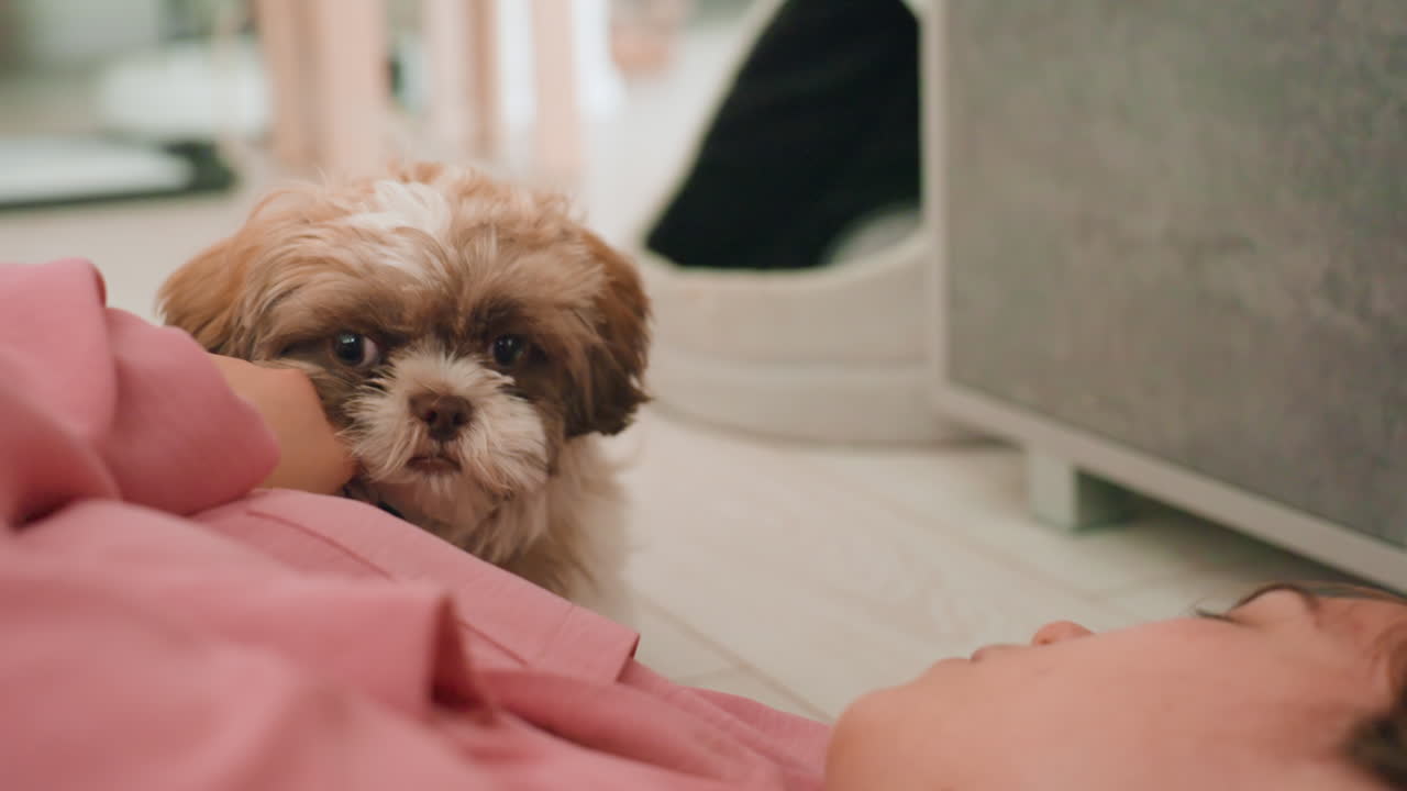 Childlike Puppy Wonder, Inquisitive Dog Beside Watching Lady, Gentle Indoor Scene With Woman And Curious Puppy, Woman And Her Inquisitive Puppy Indulge In Peaceful Indoor Discovery Session