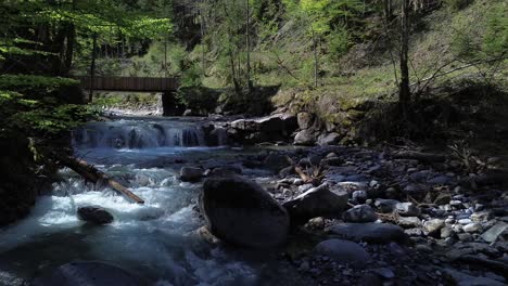 drone slowly fly above clear blue river surrounded by forest with a bridge in background