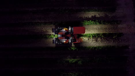 working farmers with trucks in the early morning darkness, harvesting grapes in southern france