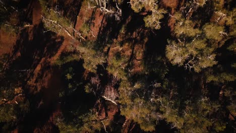 Drone-Aéreo-Ojo-De-Pájaro-Volando-A-Través-Del-Oasis-Del-Desierto-Australiano-Billabong