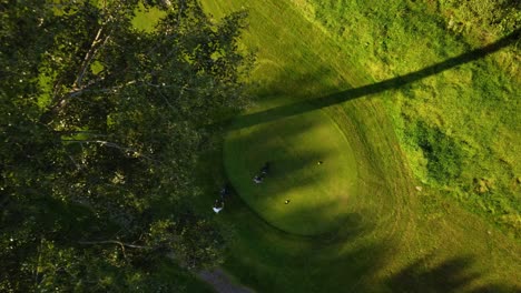 drone aerial footage 4k with golfers walking on the putting green during a sunny day on golf course practice