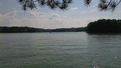 Lustiger-Tag-Am-Lake-Lanier-In-Cumming-Georgia