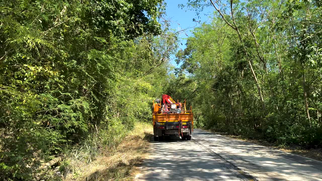 Camion che percorre una strada forestale lussureggiante