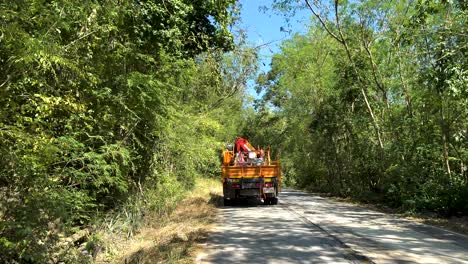el camión viaja por un camino de bosque exuberante.