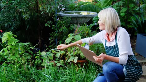 mature woman checking plant