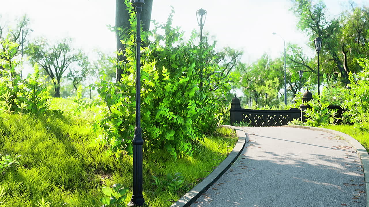 каменная дорожка через мирный зеленый парк