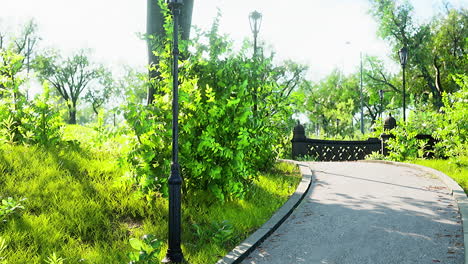 camino de piedra a través de un parque verde y pacífico
