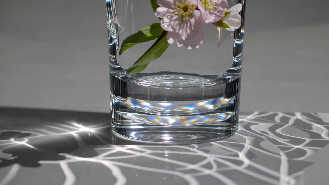 Rosa blomst i et glass