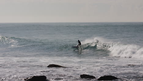 a surfer in a wetsuit making turns on a small wave near bondi beach australia