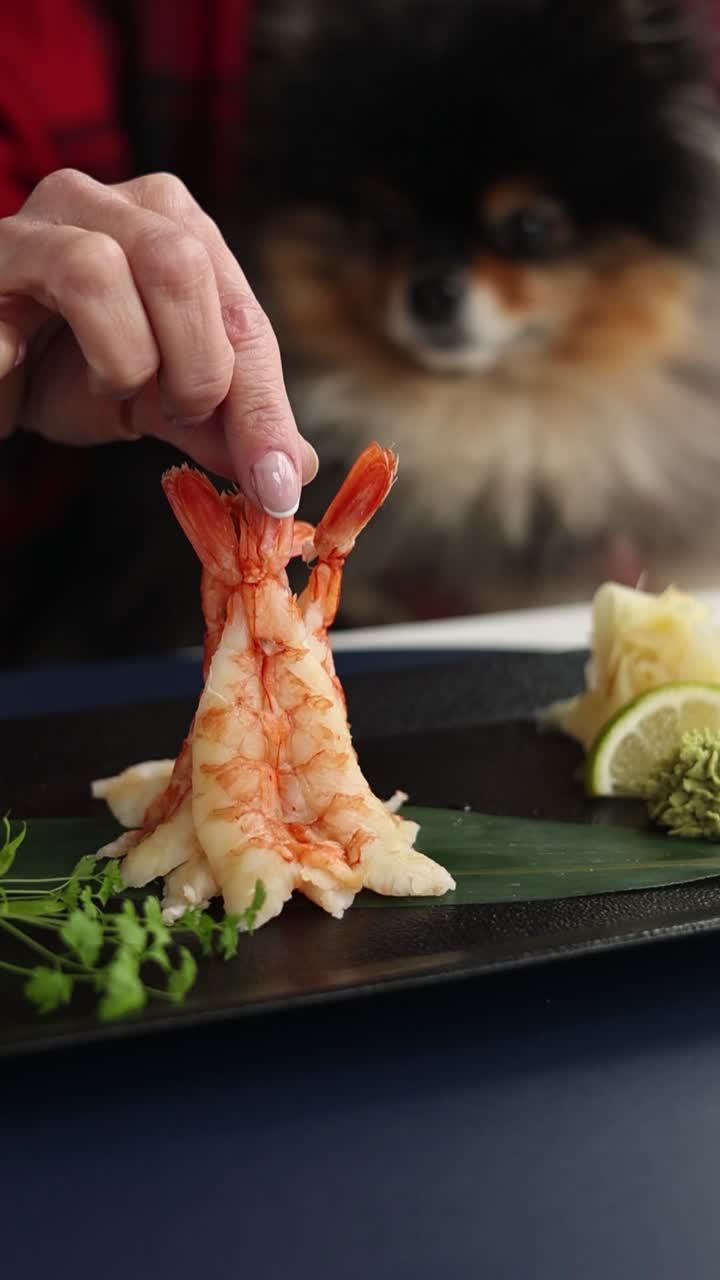 sashimi de camarón con perro en el fondo