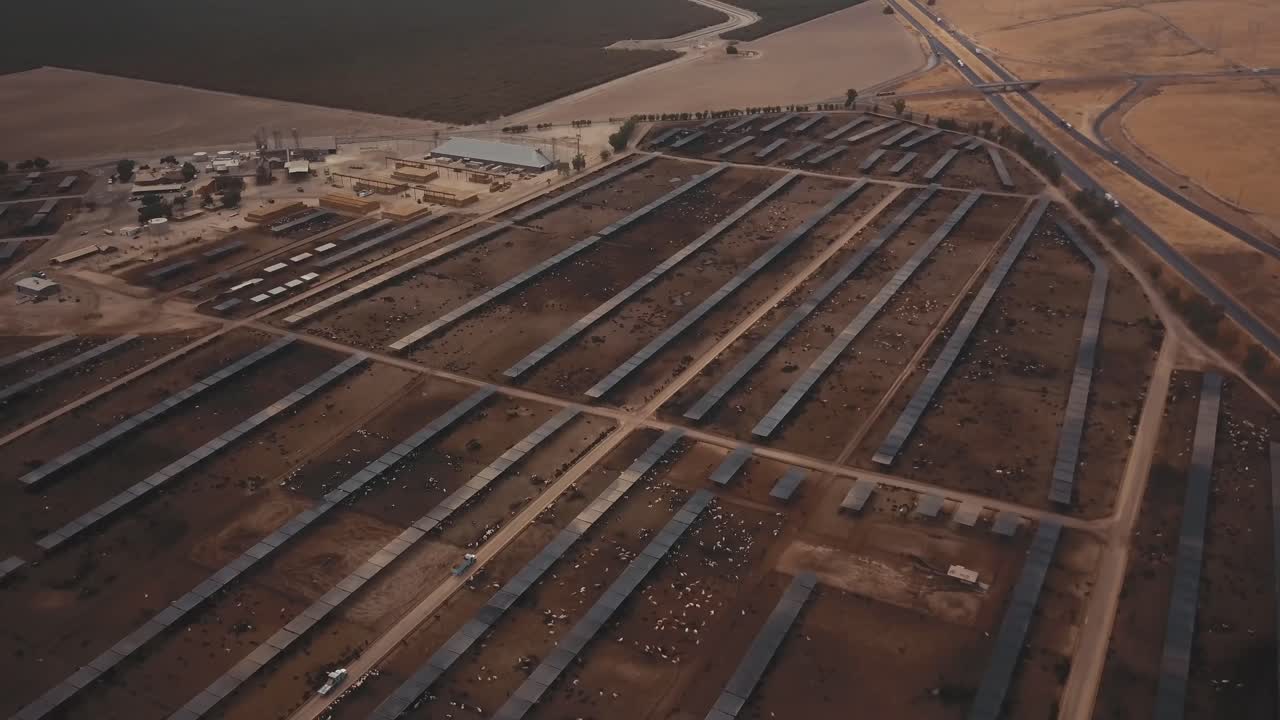 aérea: enorme granja ganadera, corral de engorde