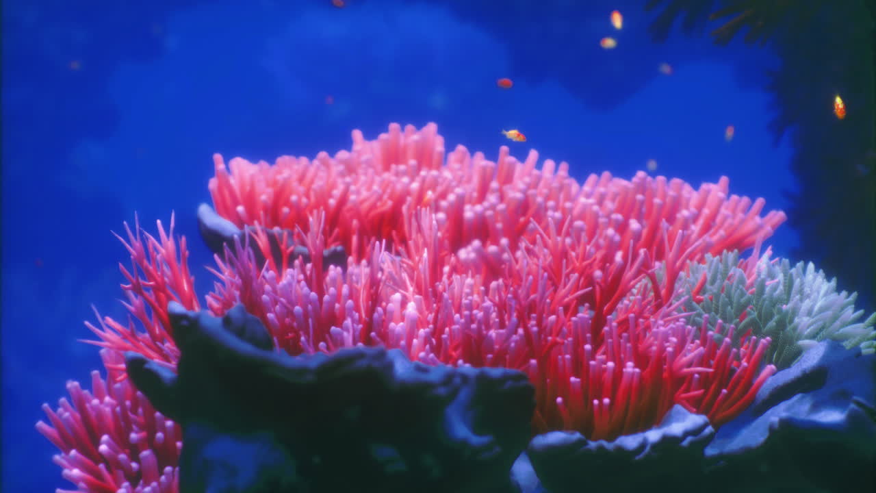 Arrecife de coral vibrante repleto de vida bajo las claras olas del océano